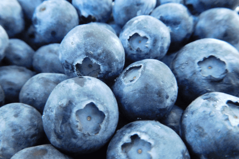 frozen blueberries recalled