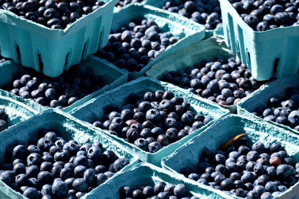 frozen blueberries recalled